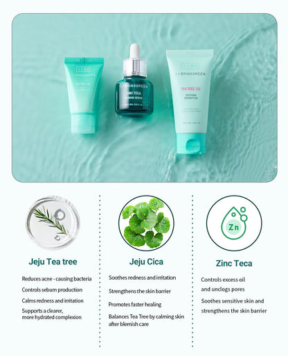 BRING GREEN Tea Tree Cica Trial Kit — Travel-Size Korean Skincare for Acne-Prone Skin