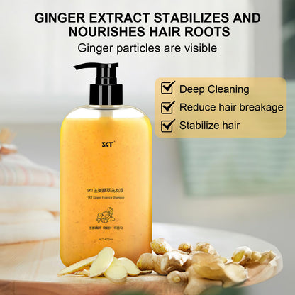 BSMAX Ginger Plant Extract Anti Hair Loss Shampoo | Hair Regrowth, Thickening & Longer Hair (400ml)