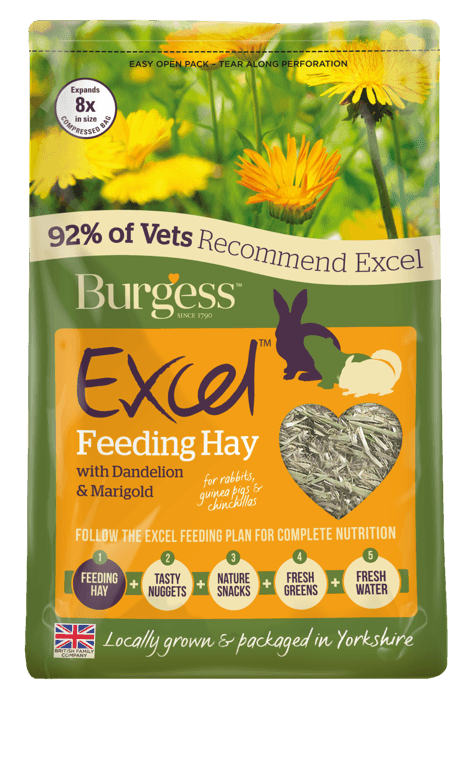 Burgess Excel Hay D/LionMarigold