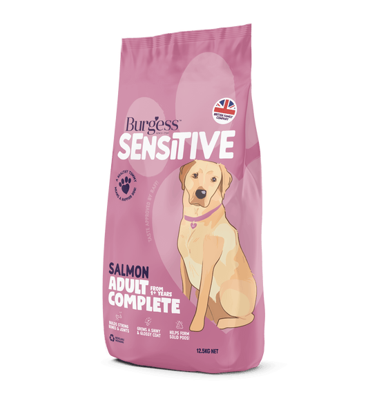 Burgess Sensitive Dog Salmon & Rice 2kg