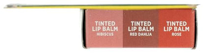 Burt's Bees Holiday Minis Lip Balm — 3-Count Pack | Cruelty-Free Lip Care
