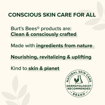 Burt's Bees Lip Balm Gift Set | Beeswax Bounty 4-Pack – Original Beeswax Flavor