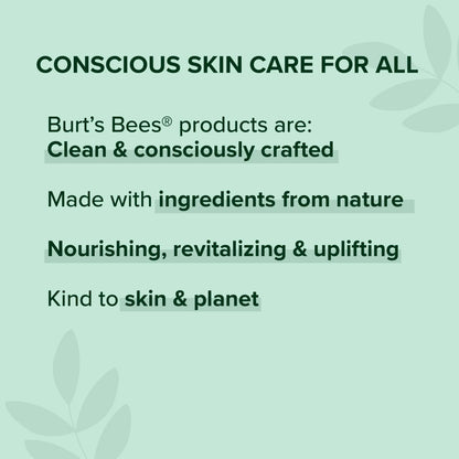 Burt's Bees Lip Balm Ultra Conditioning with Kokum Butter - Pack of 4