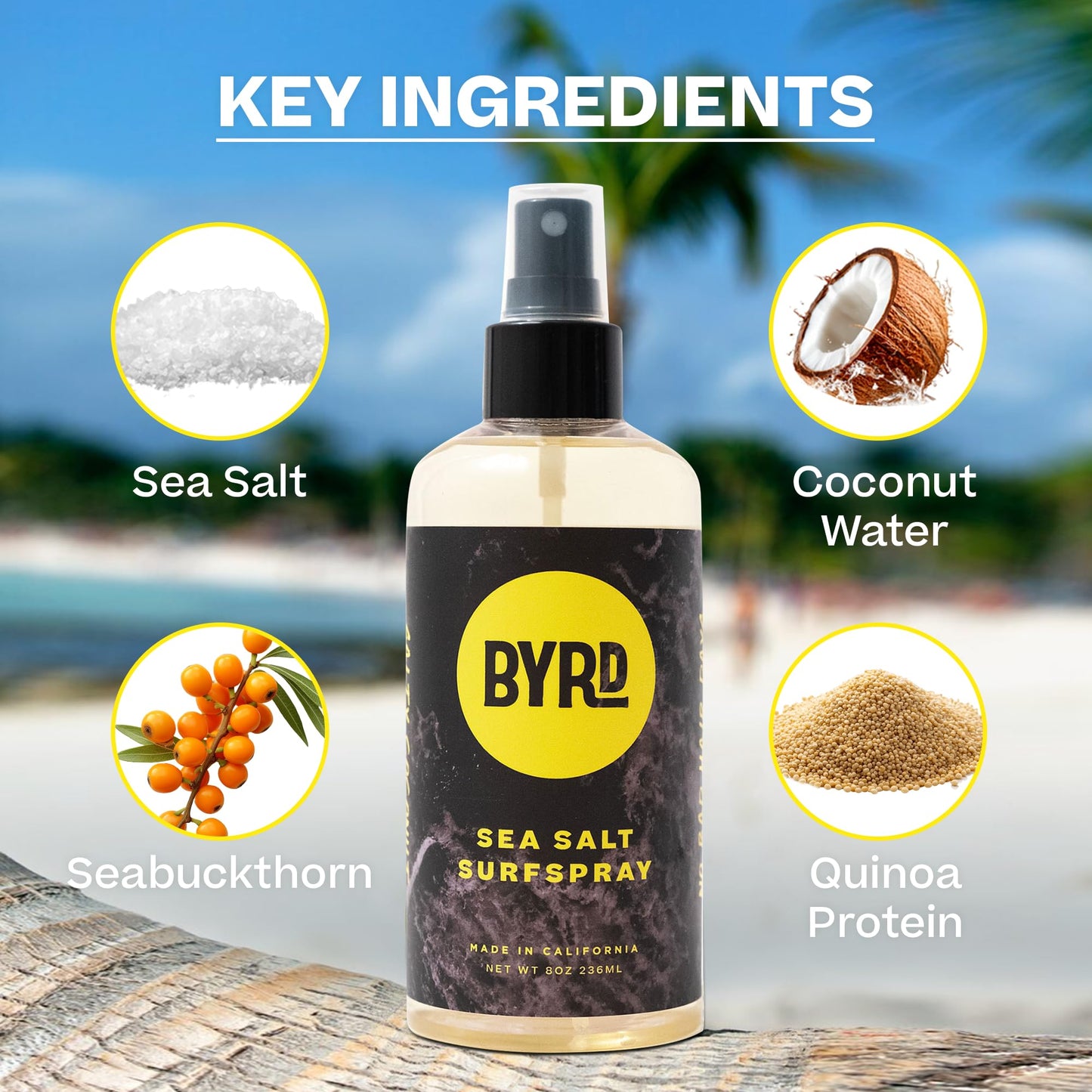 BYRD Sea Salt Surfspray – Salty Coconut Scent | Texturizing & Volumizing Spray for All Hair Types (8 oz) Pack of 4