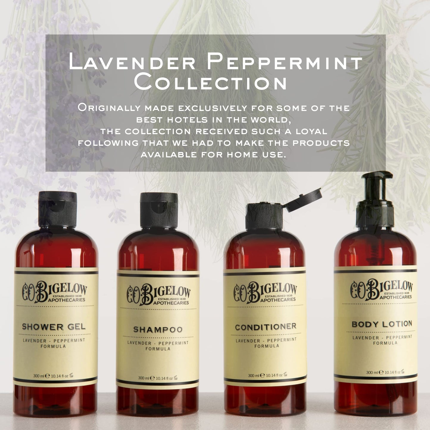 C.O. Bigelow Lavender Peppermint Shampoo – Sulfate Free, 10.4 Fl Oz