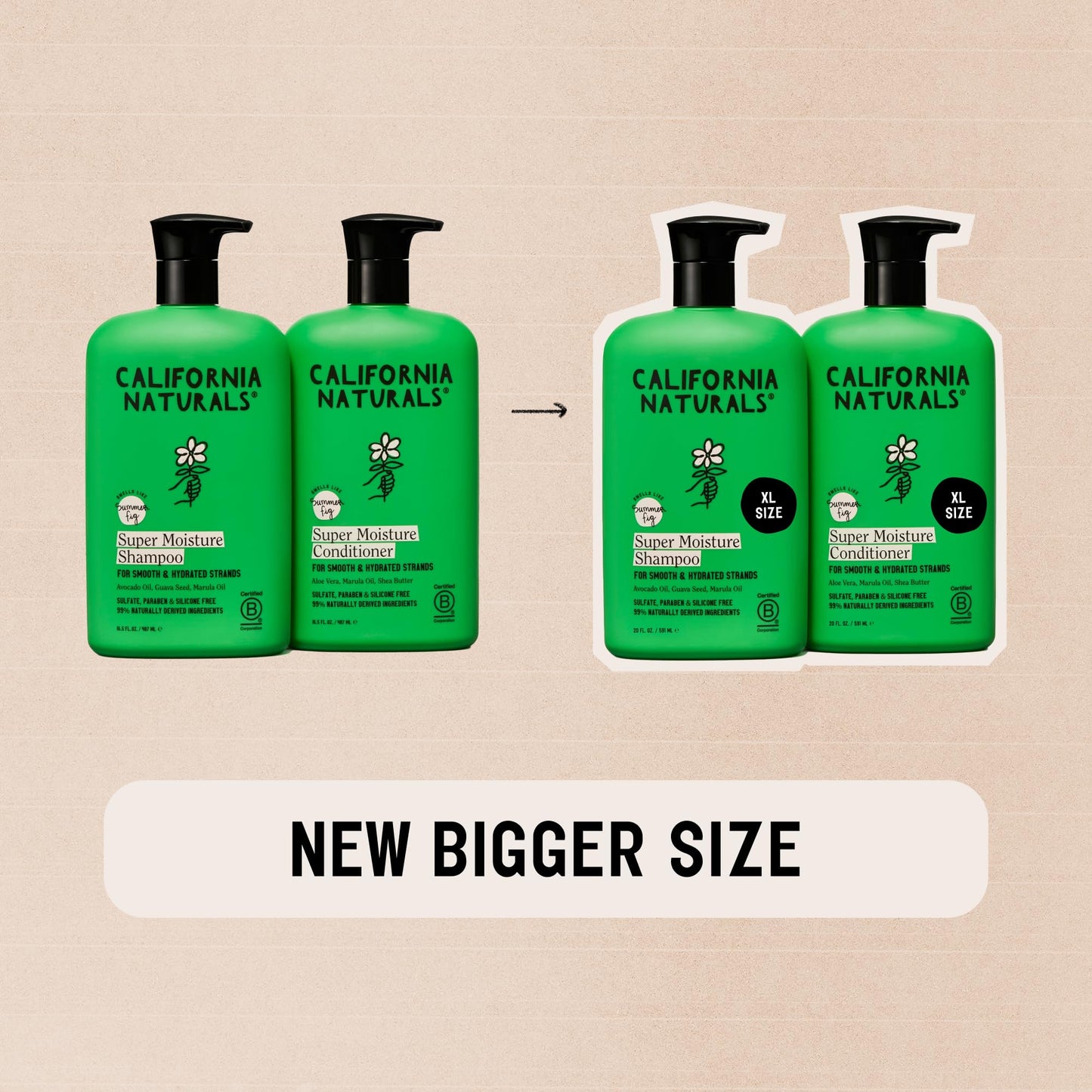 California Naturals Moisture Shampoo & Conditioner Set – Hydration for Dry Hair