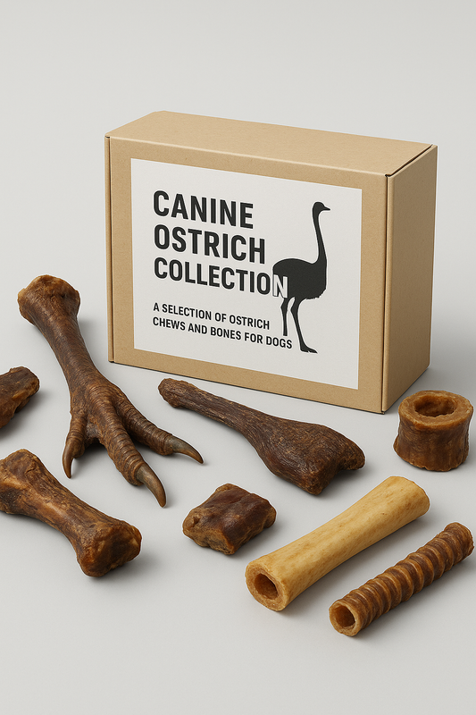 Canine Ostrich Collection