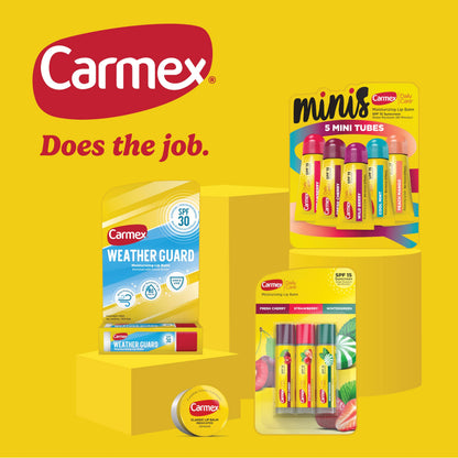 Carmex Classic Medicated Lip Balm Pack, 9-Count Variety (Tubes, Sticks & Jars) – Lip Moisturizer