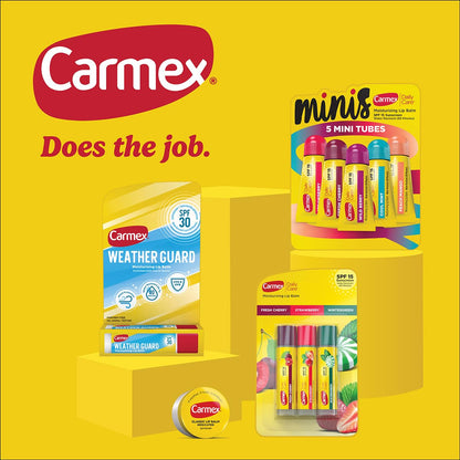 Carmex Daily Care Moisturizing Lip Balm Pack SPF 15 – Strawberry & Cupcake Batter (9 Count) | Cruelty-Free Lip Care