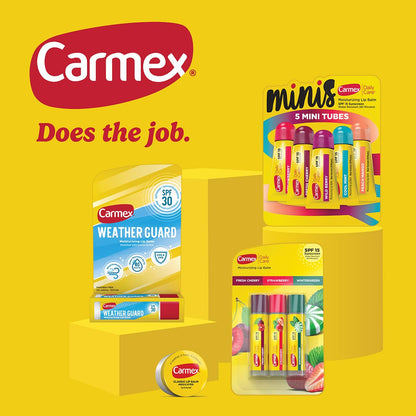 Carmex Daily Care Lip Balm SPF 15 – 8 Count Variety Pack (3 Tubes + 5 Minis) | Six Flavors