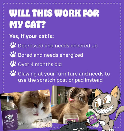 Cat Crack Catnip Blend — North American Made, 100% Natural, Non-GMO Catnip Treats (20 Cups) | 78% Nepetalactone