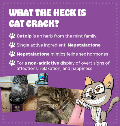 Cat Crack Catnip Blend — North American Made, 100% Natural, Non-GMO Catnip Treats (20 Cups) | 78% Nepetalactone