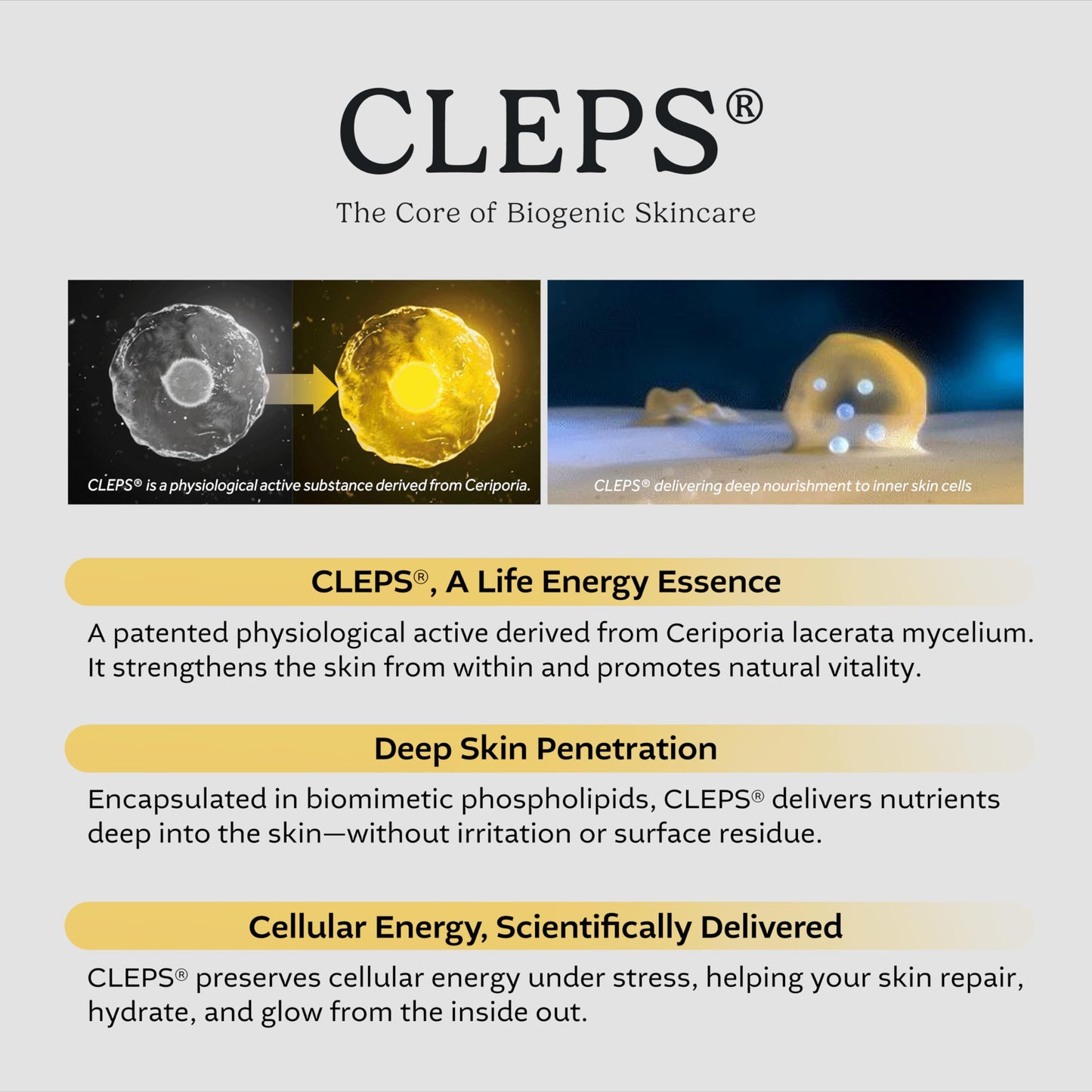 CepoLAB Biogenic Essence 90% CLEPS Hydrating Serum | Korean Skincare for Dull & Dehydrated Skin