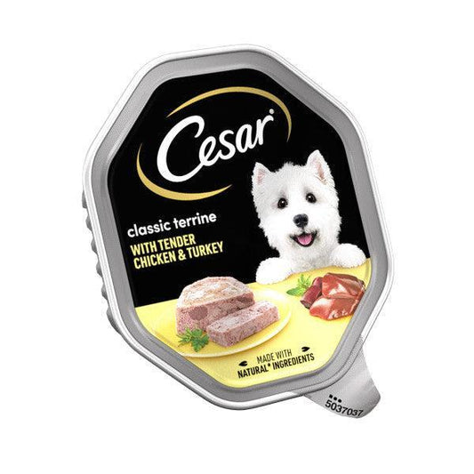 Cesar Classic Terrine Wet Dog Food with Chicken and Turkey 14 x 150g