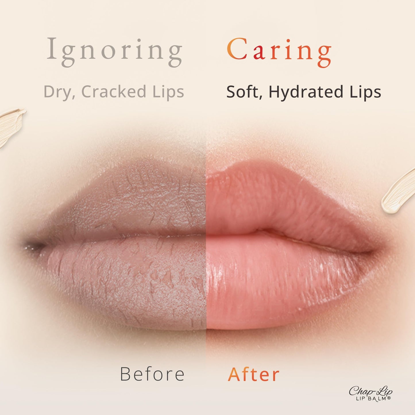 CHAP-LIP Original Lip Balm Bulk Pack — 48 Pack x 12 Boxes, Fruit Flavors, Coconut Oil & Cocoa Butter – Made in USA