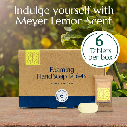 CLEANOMIC Foaming Hand Soap Tablets (6 Pack) – Meyer Lemon Refill