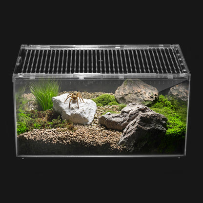 Clioran Reptile PC Terrarium – Transparent All-in-One Enclosure for Small Pets