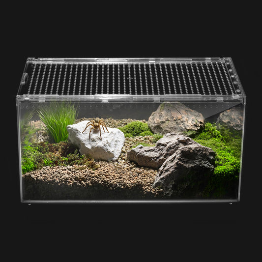 Clioran Reptile PC Terrarium – Transparent All-in-One Enclosure for Small Pets