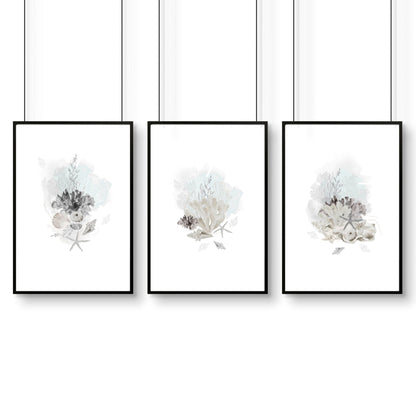Home Office wall art | set of 3 Coastal Seashells artwork prints
