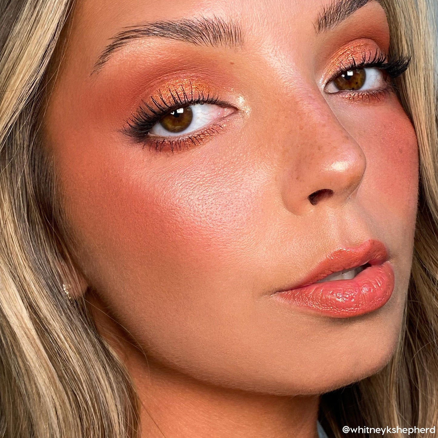 ColourPop Rock On Eyeshadow Palette – Warm Terracotta Shades, Matte & Metallic Finishes