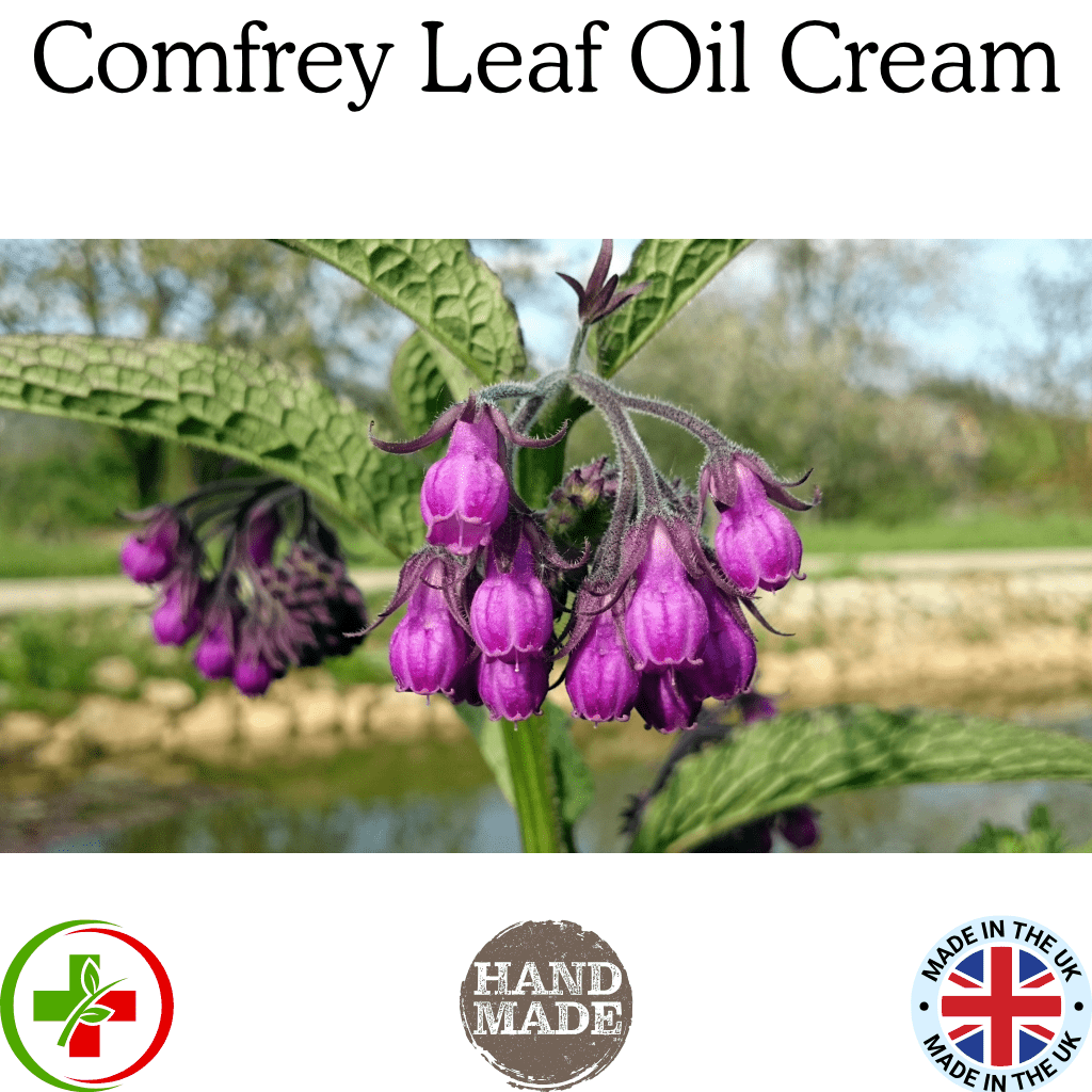 Safe Leaf-Only Comfrey Ointment | Traditional "Knitbone" Support (60ml, 120ml, 200ml)