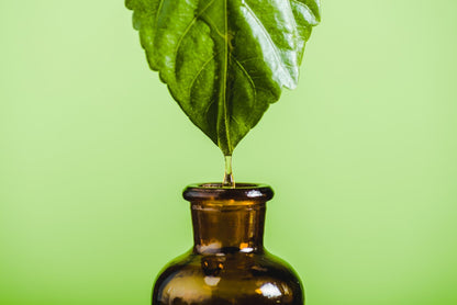Safe Leaf-Only Comfrey Ointment | Traditional "Knitbone" Support (60ml, 120ml, 200ml)