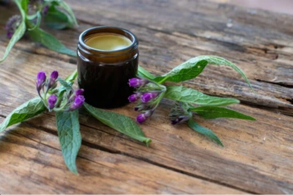 Comfrey Ointment UK | Traditional "Knitbone" Balm for Joint &amp; Muscle Support