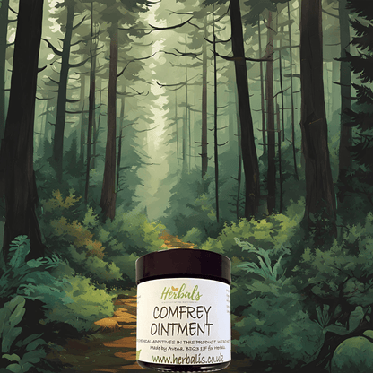 Comfrey Ointment UK | Traditional "Knitbone" Balm for Joint &amp; Muscle Support
