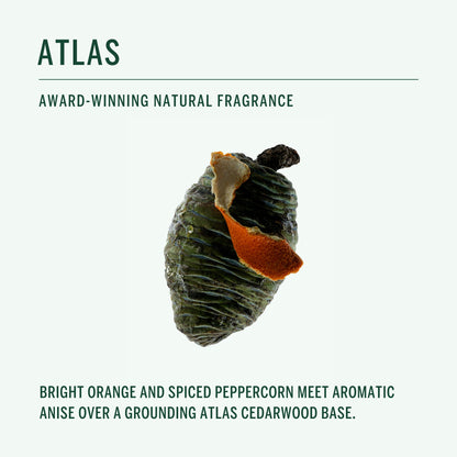 CORPUS Natural Deodorant Stick for Sensitive Skin | Aluminium & Baking Soda Free | Made in USA (Atlas)