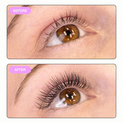CURACORO Eclipse Flat Eyelashes Extension – Mixed 8-15mm, Ultra-Light, Cruelty-Free Synthetic Lashes