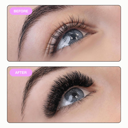 CURACORO Promade 500 Fans — 16D-0.03 C Curl, 15mm, Handmade Volume Lash Fans