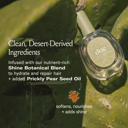 DAE Prickly Pear Hair Oil – Smooths Frizz, Hydrates, Detangles & Adds Shine (0.6 oz)