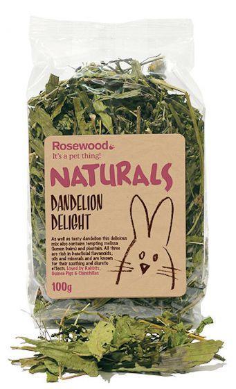 Dandelion Delight Salad