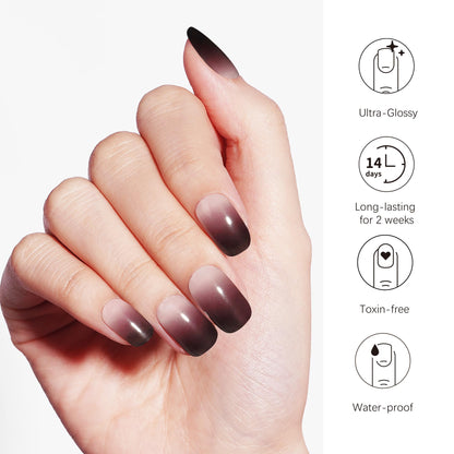 DANNI & TONI Semi Cured Gel Nail Strips – Black Transparent Ombre