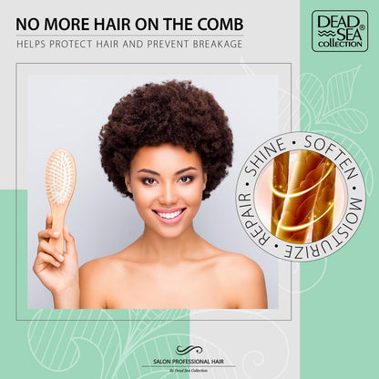 Dead Sea Collection Shampoo & Conditioner Set for Curly Hair – Avocado & Aloe, Pure Dead Sea Minerals | 2 Bottles (33.8 & 30.6 fl oz)