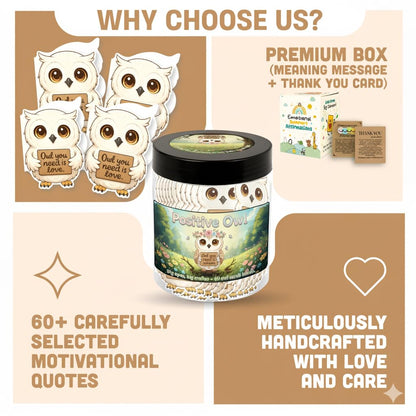 DEARMINE Positive Owl Jar with 60 Affirmation Cards – Daily Encouragement & Emotional Support for Women