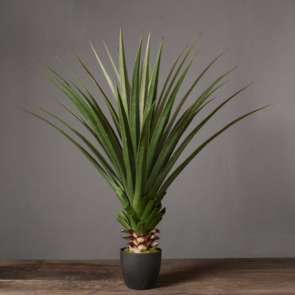 Decoration: Artificial Plant