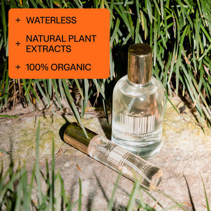 DedCool Sunlit Blooms Eau de Parfum - 1.7 fl oz | Long Lasting, Vegan, Non-Toxic