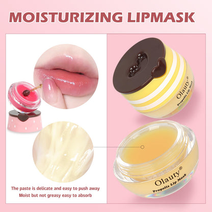 Deepmind 6-Piece Bee Lip Balm Lip Mask Honey Pot – Overnight Hydration, Propolis Care, Valentine’s & Galentine’s Gifts