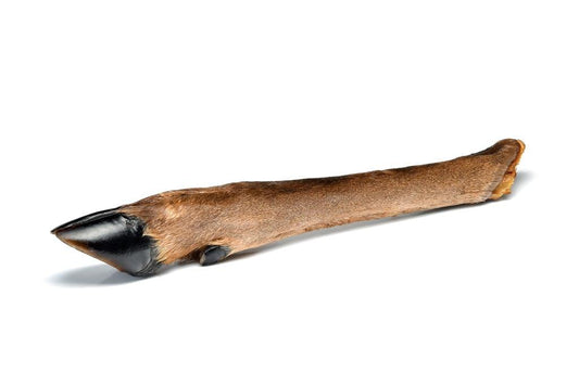 Deer Leg - Hairy / Large