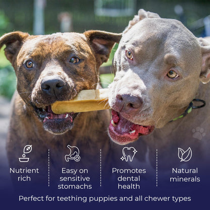 Devil Dog Pet Co. Himalayan Yak Cheese Dog Chews – Large 12 Pack, 100% Natural & Lactose-Free