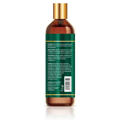 Difeel Elevated Rosemary Mint Shampoo with Biotin – Strengthen Dry & Damaged Hair (12 oz)