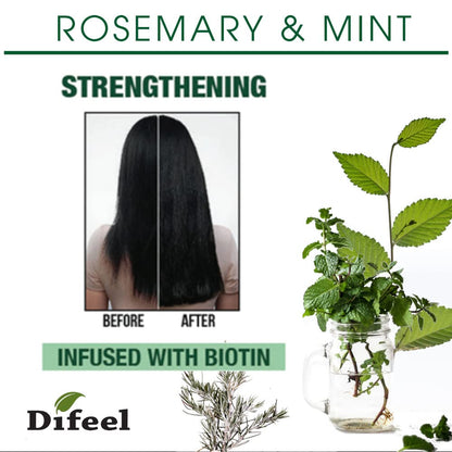 Difeel Rosemary & Mint Hair Strengthening Shampoo & Conditioner Gift Set – 12 oz Each, Sulfate Free