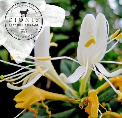 Dionis Goat Milk Hand Cream – Honeysuckle & Coconut Scent, 1 oz | Made in USA
