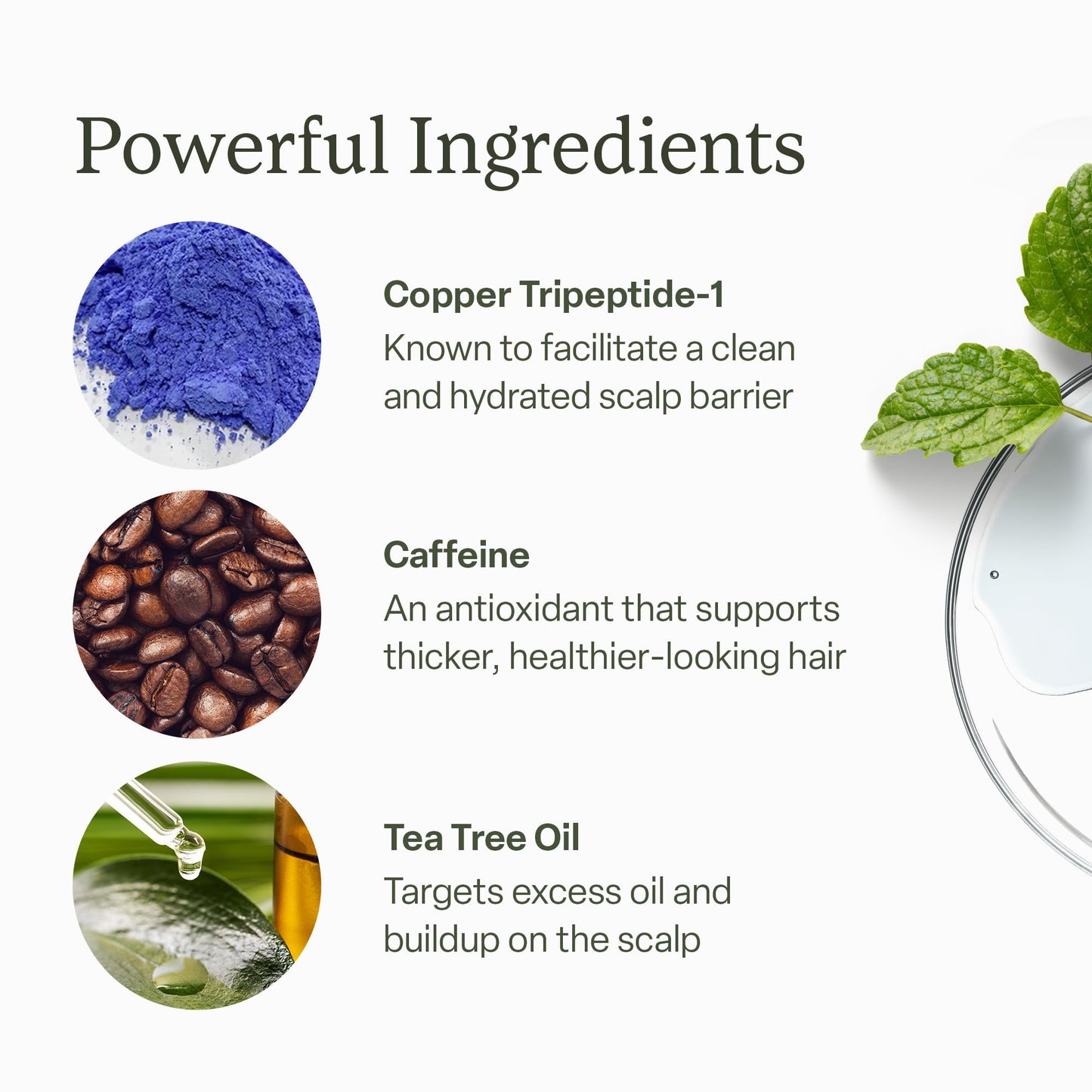 Divi Scalp Serum for Thinning Hair, 30ml — Clinically Tested, Nourishing Formula with Amino Acids, Caffeine & Rosemary Oil