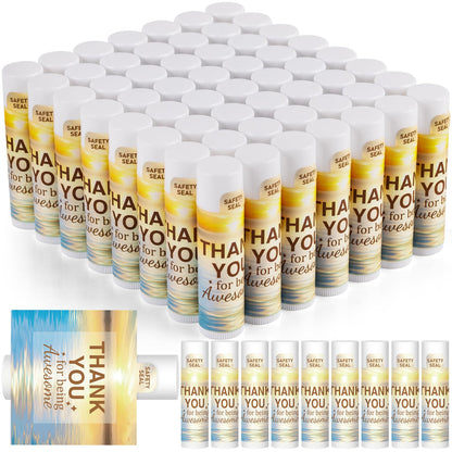 DMSKY 60 Pcs Lip Balm Bulk – Appreciation Gifts for Coworkers & Staff