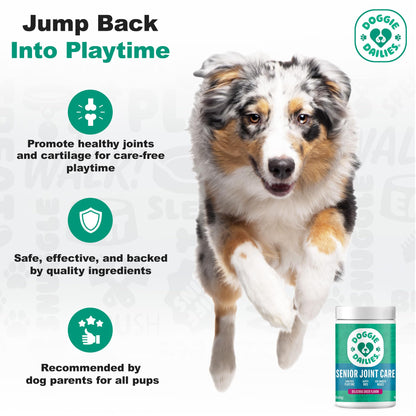 Doggie Dailies Advanced Senior Hip & Joint Chews for Dogs (Duck) - 120 Count