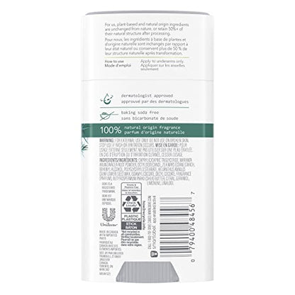 Dove Care by Plants Tea Tree Deodorant Stick — Aluminum-Free, 24h Odor Protection (3 x 2.6 oz)