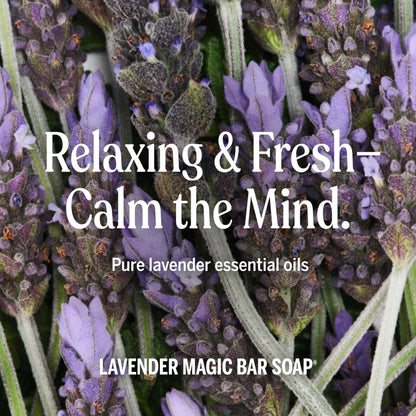 Dr. Bronner's Lavender Pure-Castile Bar Soap | Regenerative Organic Oils, 12-Pack