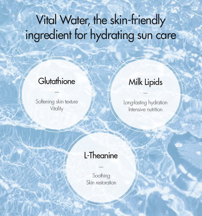 Dr. Ceuracle Pro Balance Biotics Clear Up Sun SPF 50+ PA+++ | Probiotics Sunscreen
